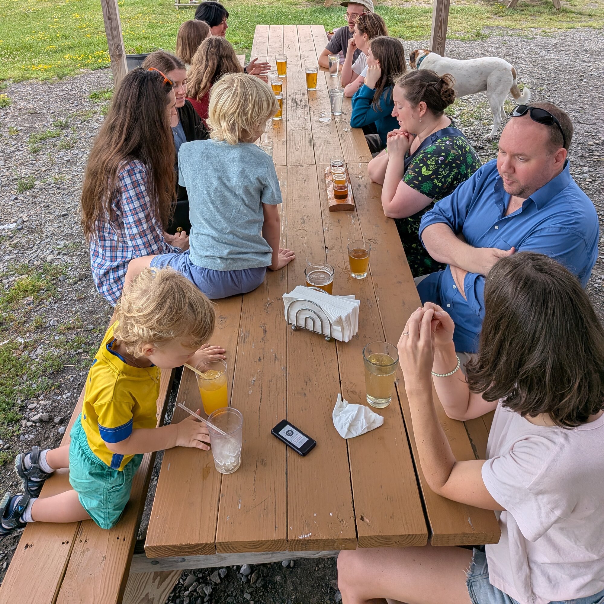 The lab gathered around a long picnic table for dinner outdoors